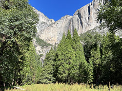 Upper and Lower Yosemite Fall seen from a gap in the forest.